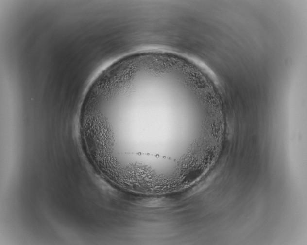 X0000111891279200907301150