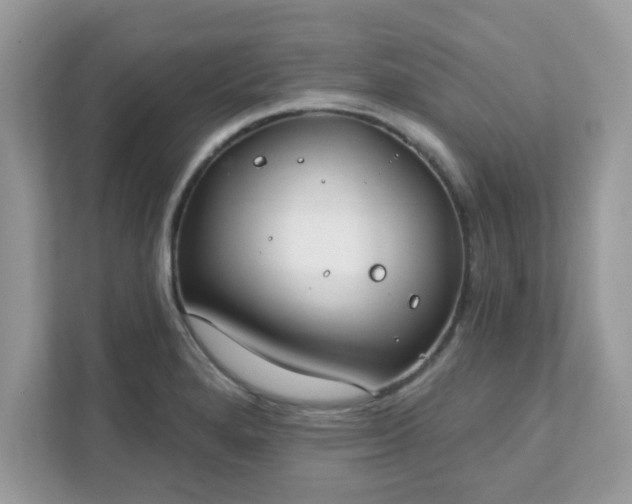 X0000111891280200907301150