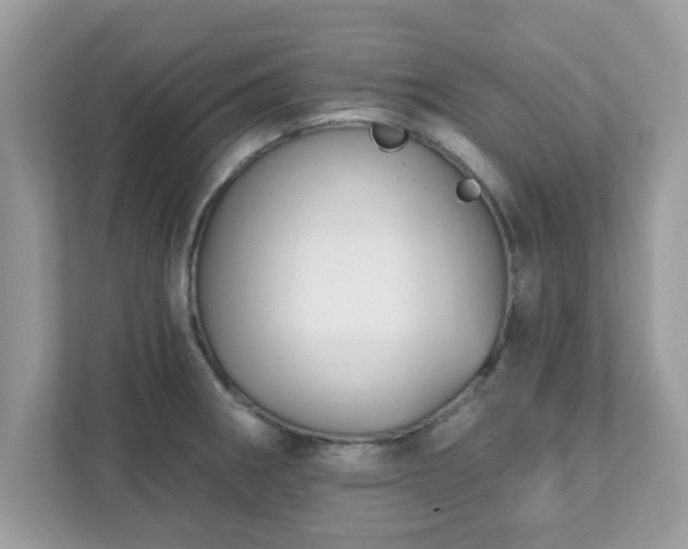 X0000111891282200907301150