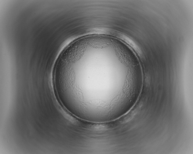 X0000111891283200907301150