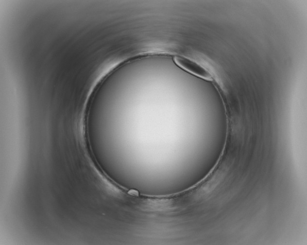 X0000111891285200907301150