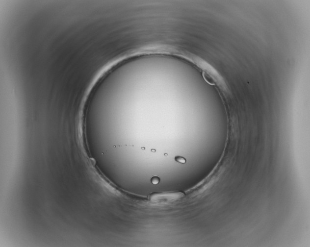 X0000111891288200907301150