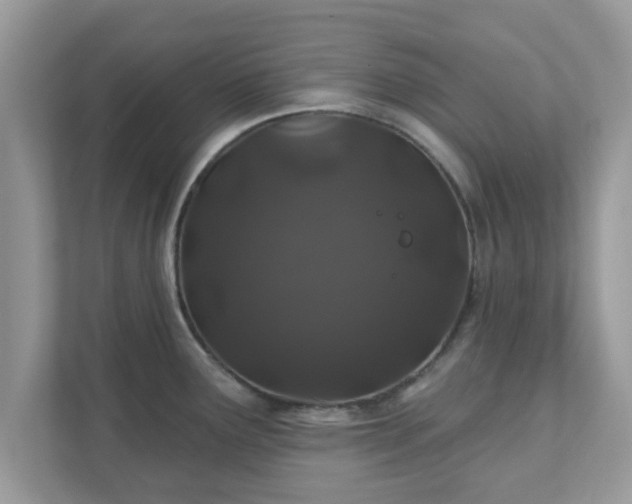 X0000111891291200907301150