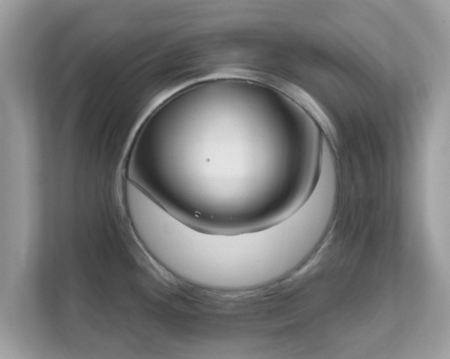 X0000111891292200907301150