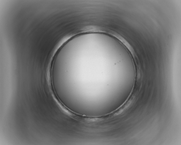 X0000111891293200907301150