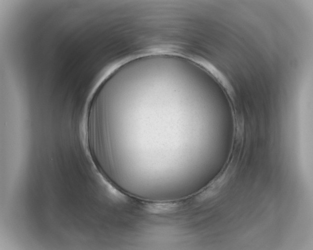 X0000111891294200907301150