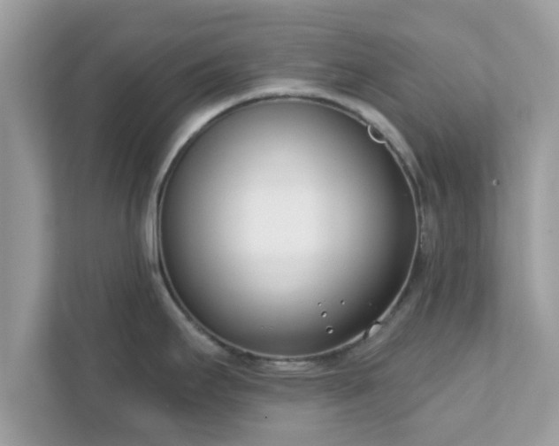 X0000111891295200907301150