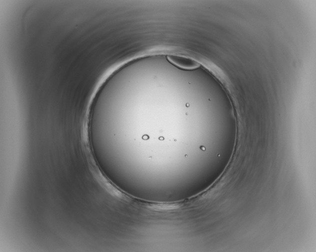 X0000111891296200907301150