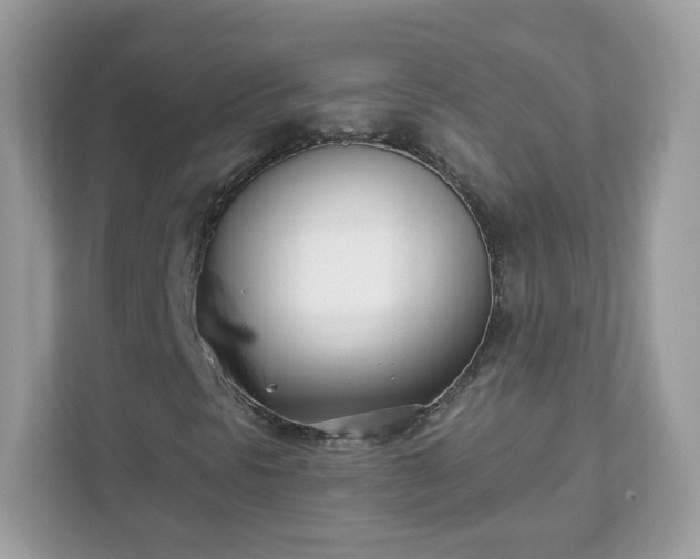 X0000111891297200907301149