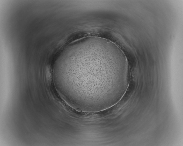 X0000111891298200907301149