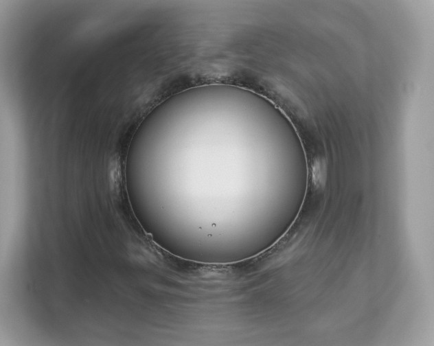 X0000111891299200907301149