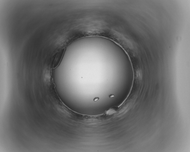 X0000111891300200907301149