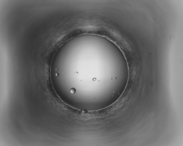 X0000111891301200907301149