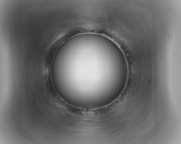 X0000111891302200907301149