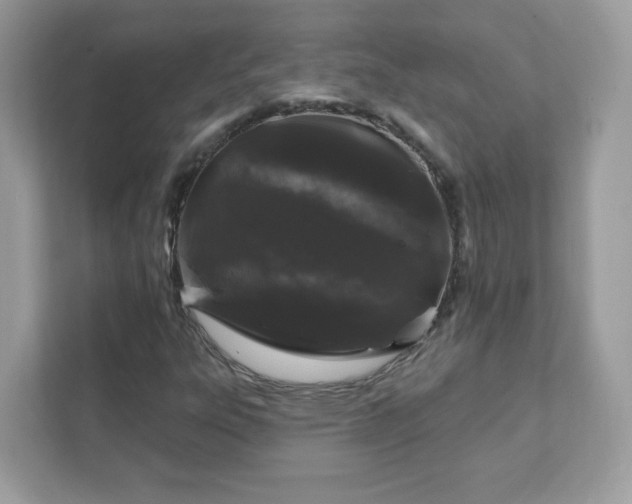 X0000111891303200907301149