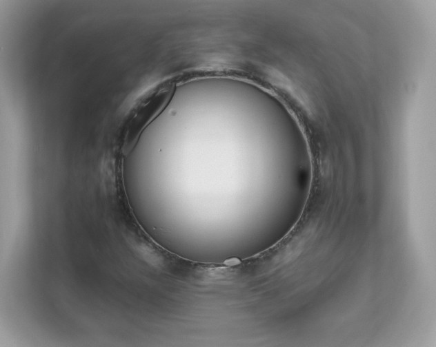 X0000111891304200907301149