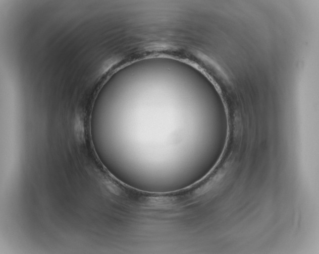 X0000111891305200907301149