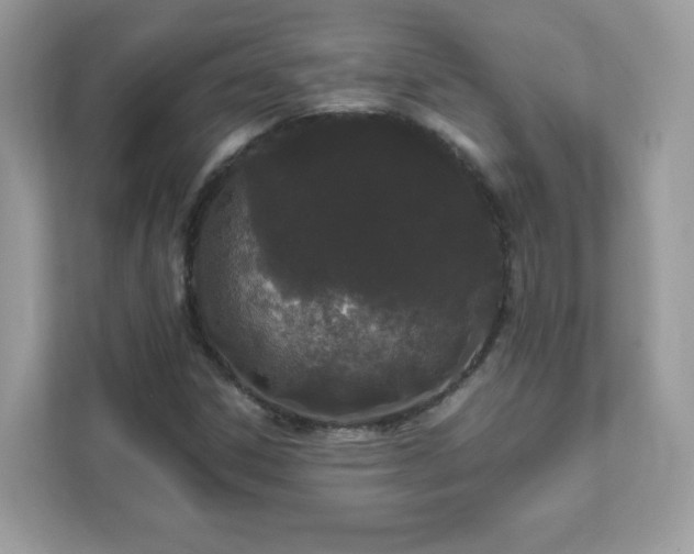 X0000111891306200907301149