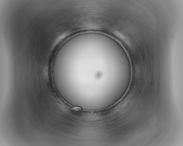 X0000111891307200907301149