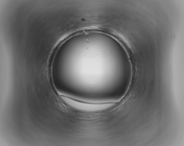 X0000111891308200907301149