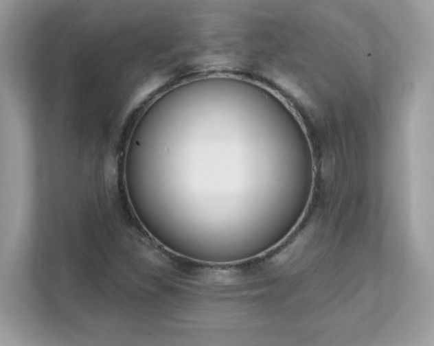 X0000111891309200907301149