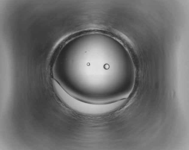 X0000111891310200907301149