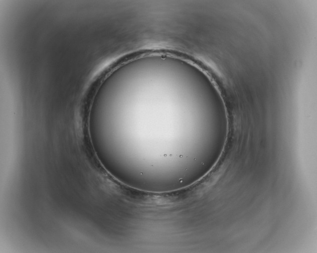 X0000111891311200907301149