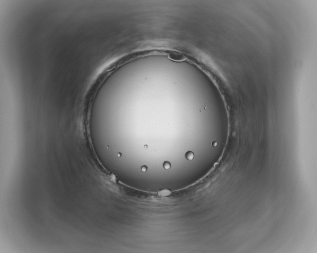 X0000111891312200907301149