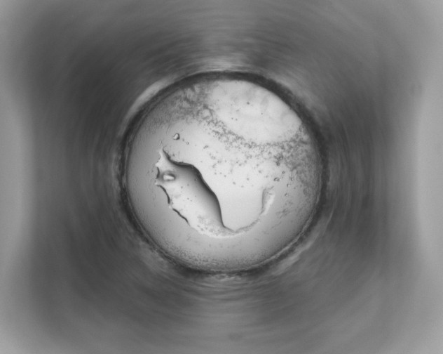 X0000111891314200907301149