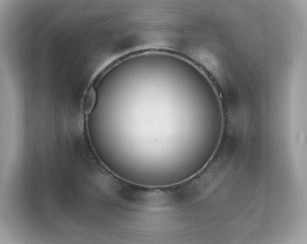 X0000111891316200907301149