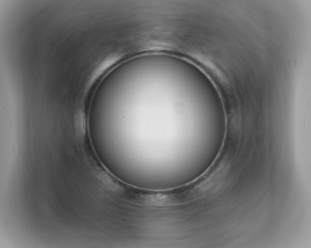 X0000111891317200907301149