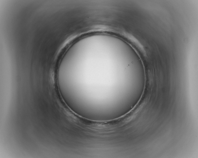 X0000111891318200907301149