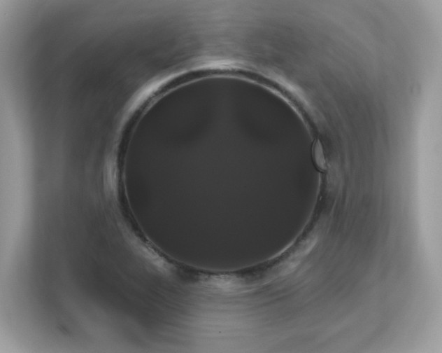 X0000111891319200907301149