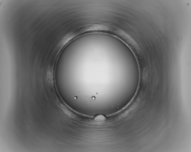 X0000111891321200907301149