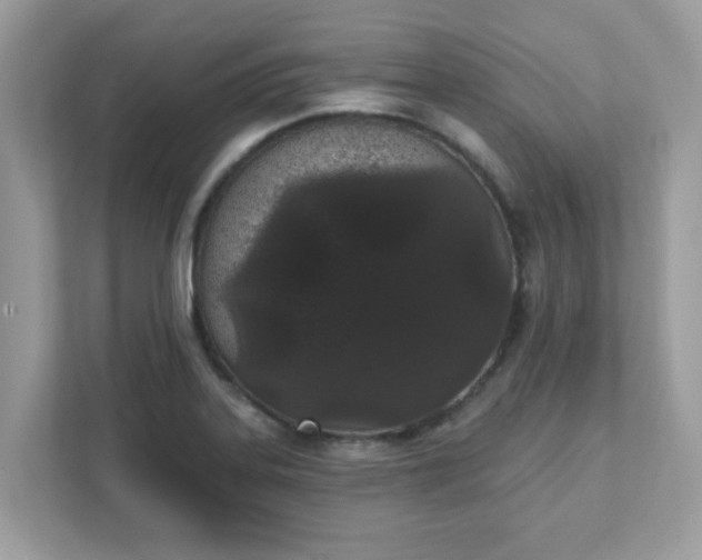 X0000111891323200907301149