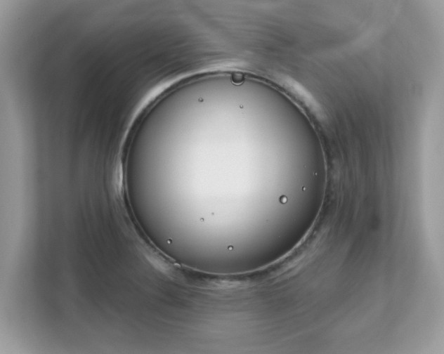 X0000111891324200907301149