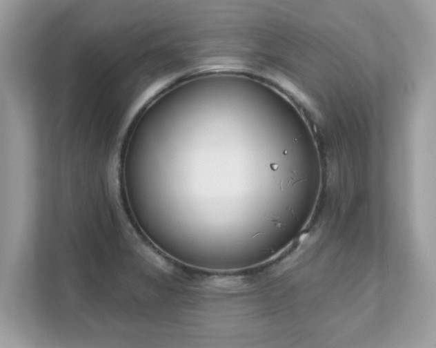 X0000111891325200907301149