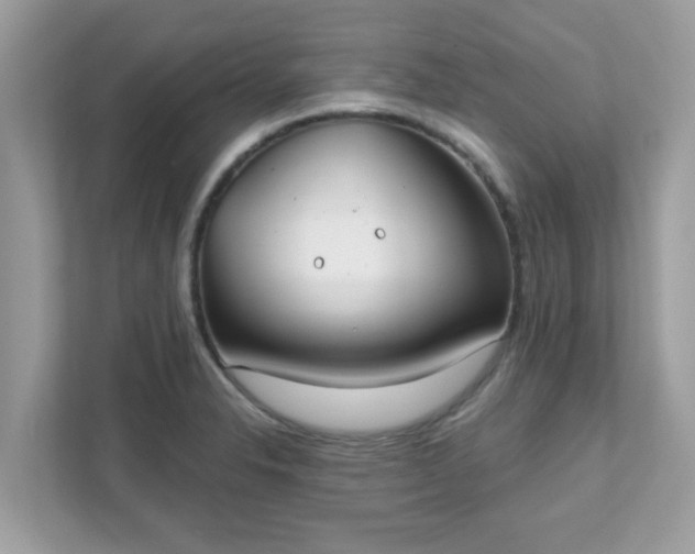 X0000111891326200907301149