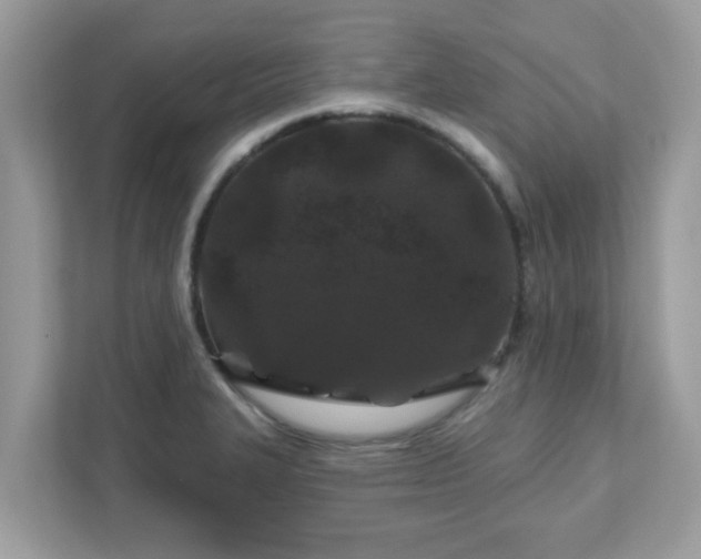 X0000111891327200907301149