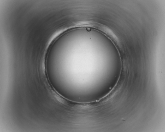 X0000111891328200907301149