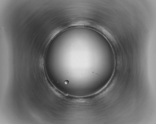 X0000111891329200907301149