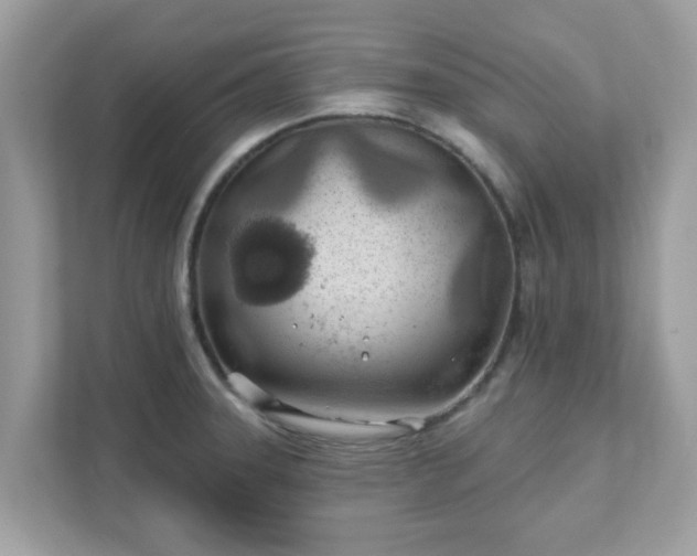 X0000111891331200907301149