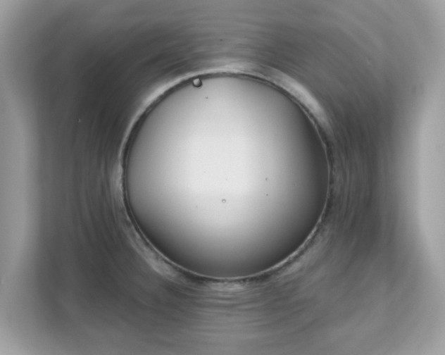 X0000111891332200907301149