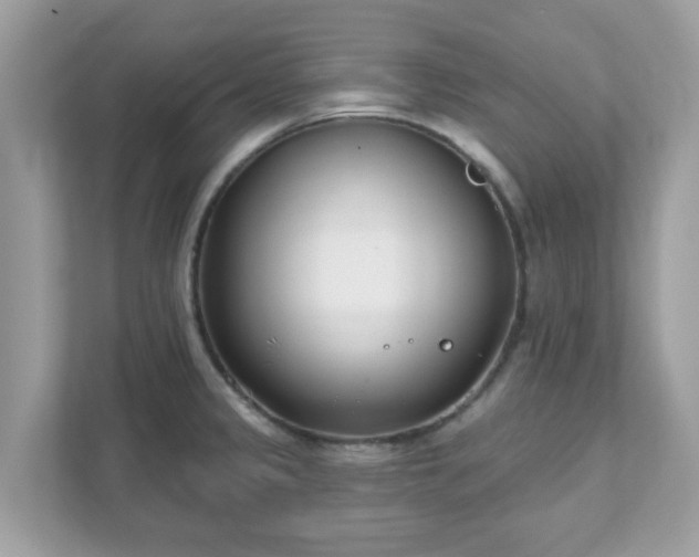 X0000111891333200907301149