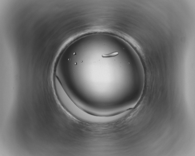 X0000111891334200907301149