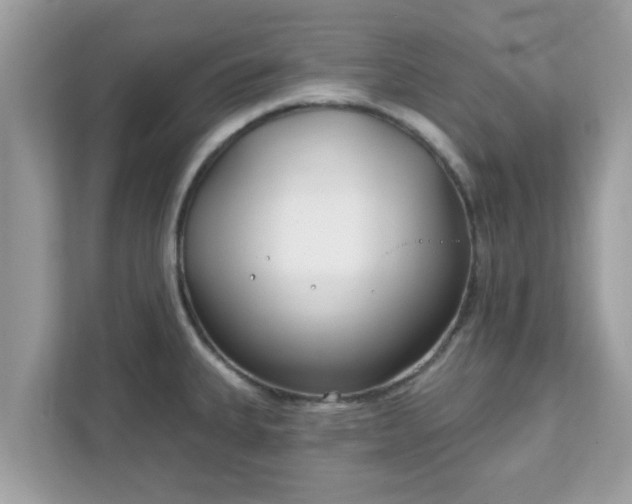 X0000111891335200907301149