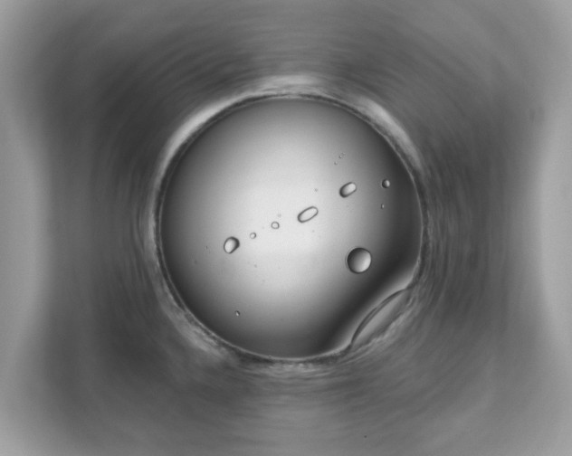 X0000111891336200907301149