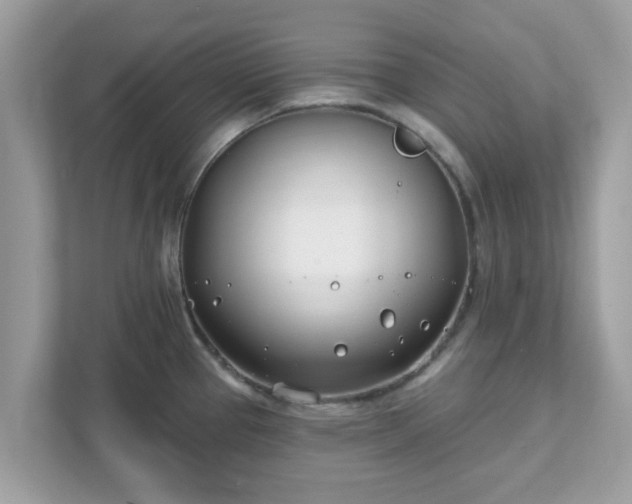 X0000111891337200907301150