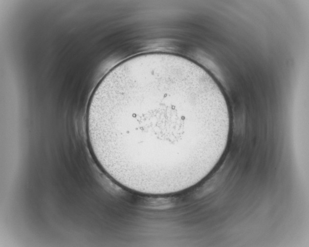 X0000111891338200907301150