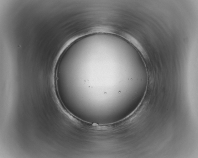 X0000111891339200907301150